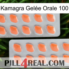Kamagra Gelée Orale 100 27